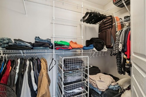 248 Copperpond Circle Se, Calgary, AB - Indoor With Storage