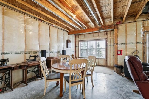 248 Copperpond Circle Se, Calgary, AB - Indoor Photo Showing Basement