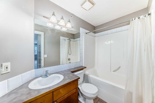 503-417 3 Avenue Ne, Calgary, AB - Indoor Photo Showing Bathroom
