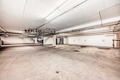 503-417 3 Avenue Ne, Calgary, AB - Indoor Photo Showing Garage
