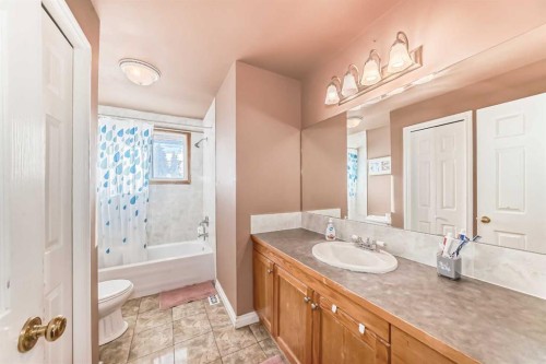 7160 Temple Drive Ne, Calgary, AB - Indoor Photo Showing Bathroom