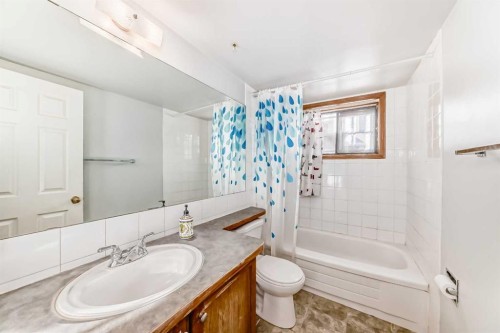 7160 Temple Drive Ne, Calgary, AB - Indoor Photo Showing Bathroom