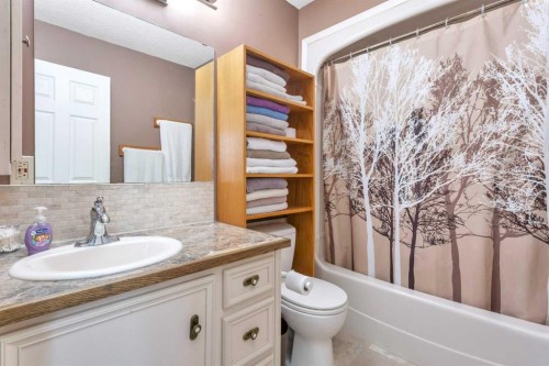 31442 Range Road 45, Rural Mountain View County, AB - Indoor Photo Showing Bathroom