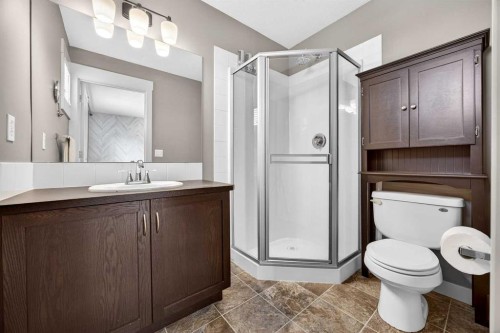 257 Skyview Ranch Drive Ne, Calgary, AB - Indoor Photo Showing Bathroom