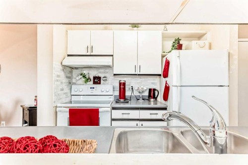314-20 Dover Point Se, Calgary, AB - Indoor Photo Showing Kitchen With Double Sink