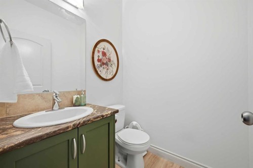 1153 Kingston Crescent Se, Airdrie, AB - Indoor Photo Showing Bathroom