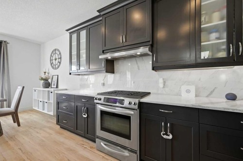 1153 Kingston Crescent Se, Airdrie, AB - Indoor Photo Showing Kitchen With Upgraded Kitchen