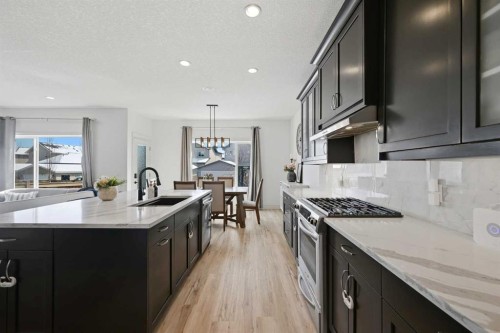 1153 Kingston Crescent Se, Airdrie, AB - Indoor Photo Showing Kitchen With Upgraded Kitchen