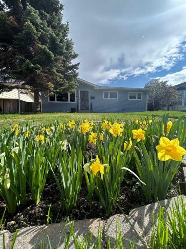 81 Healy Drive Sw, Calgary, AB - Outdoor