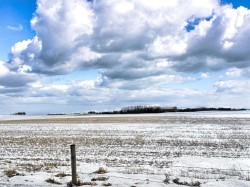 NE 11-33-21 W5th Rural Mountain View County, AB T4H 1P0