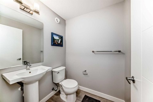 111 Redstone Crescent Ne, Calgary, AB - Indoor Photo Showing Bathroom