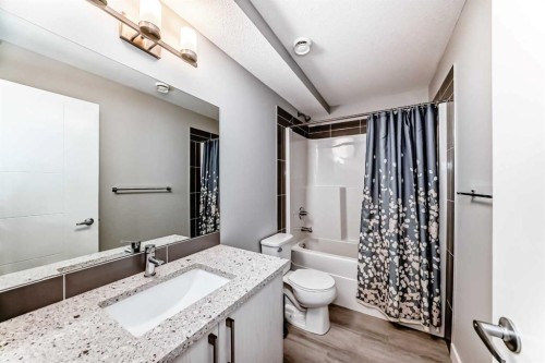 111 Redstone Crescent Ne, Calgary, AB - Indoor Photo Showing Bathroom