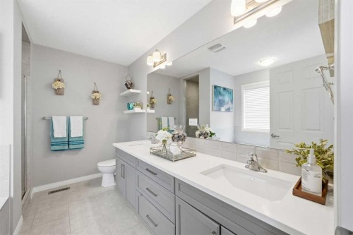 134 Windrow Link Sw, Airdrie, AB - Indoor Photo Showing Bathroom
