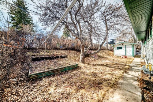 1415 Rosehill Drive Nw, Calgary, AB - Outdoor