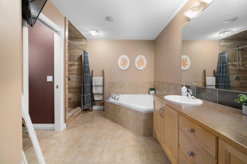173 Cimarron Park Circle, Okotoks, AB - Indoor Photo Showing Bathroom