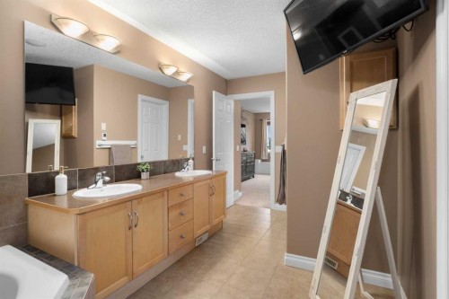 173 Cimarron Park Circle, Okotoks, AB - Indoor Photo Showing Bathroom