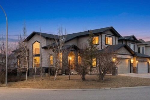 173 Cimarron Park Circle, Okotoks, AB - Outdoor