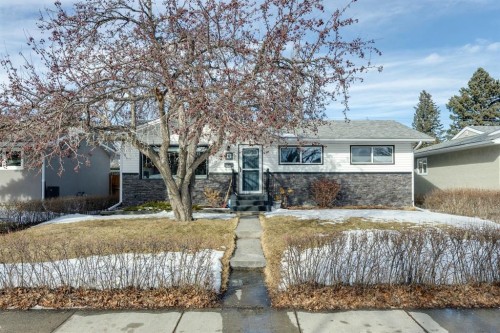 56 Haddock Road Sw, Calgary, AB - Outdoor