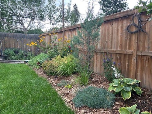 56 Haddock Road Sw, Calgary, AB - Outdoor