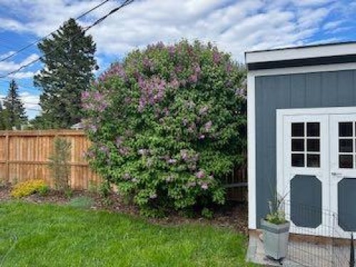 56 Haddock Road Sw, Calgary, AB - Outdoor