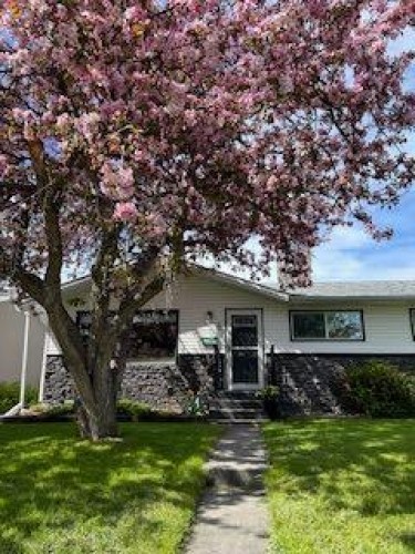 56 Haddock Road Sw, Calgary, AB - Outdoor