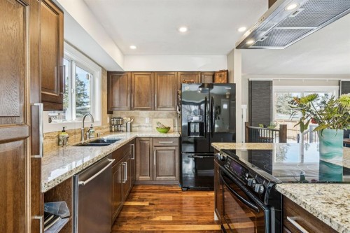 56 Haddock Road Sw, Calgary, AB - Indoor Photo Showing Kitchen With Double Sink With Upgraded Kitchen