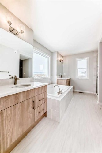203 Langwell Common Se, Airdrie, AB - Indoor Photo Showing Bathroom