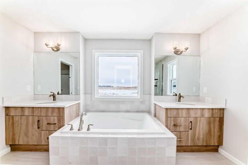 203 Langwell Common Se, Airdrie, AB - Indoor Photo Showing Bathroom