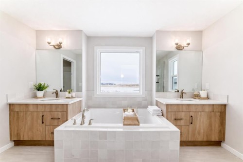 203 Langwell Common Se, Airdrie, AB - Indoor Photo Showing Bathroom