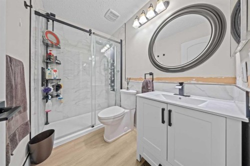 58 Templeson Crescent Ne, Calgary, AB - Indoor Photo Showing Bathroom