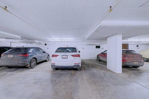 1006-433 11 Avenue Se, Calgary, AB - Indoor Photo Showing Garage
