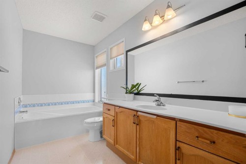136 Coral Springs Landing Ne, Calgary, AB - Indoor Photo Showing Bathroom