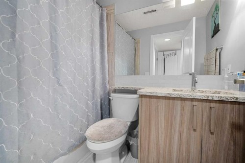136 Coral Springs Landing Ne, Calgary, AB - Indoor Photo Showing Bathroom
