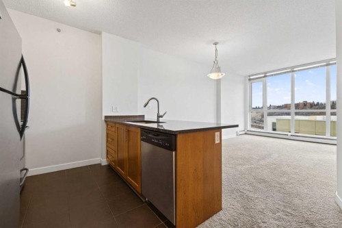 1001-325 3 Street Se, Calgary, AB - Indoor Photo Showing Kitchen