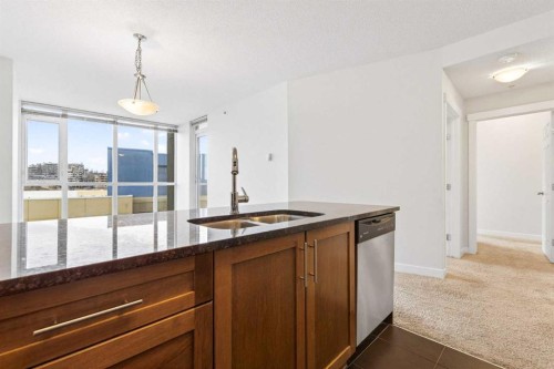1001-325 3 Street Se, Calgary, AB - Indoor Photo Showing Kitchen With Double Sink