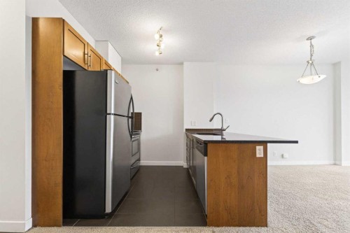 1001-325 3 Street Se, Calgary, AB - Indoor Photo Showing Kitchen