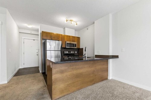 1001-325 3 Street Se, Calgary, AB - Indoor Photo Showing Kitchen