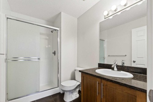 1001-325 3 Street Se, Calgary, AB - Indoor Photo Showing Bathroom