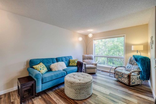 103 Riverview Circle Se, Calgary, AB - Indoor Photo Showing Living Room