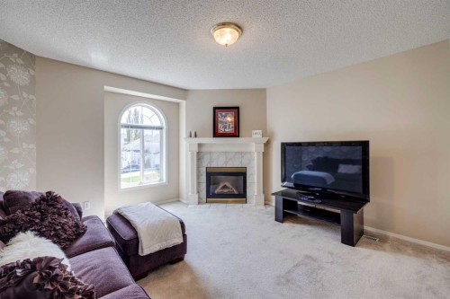 103 Riverview Circle Se, Calgary, AB - Indoor Photo Showing Living Room With Fireplace