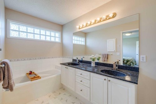 103 Riverview Circle Se, Calgary, AB - Indoor Photo Showing Bathroom