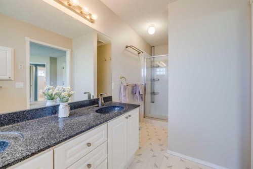 103 Riverview Circle Se, Calgary, AB - Indoor Photo Showing Bathroom