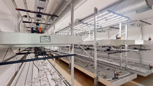 5430 30 Street Se, Calgary, AB 