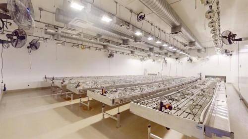 5430 30 Street Se, Calgary, AB 