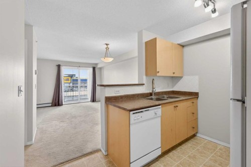 1307-2395 Eversyde Avenue Se, Calgary, AB - Indoor Photo Showing Kitchen With Double Sink