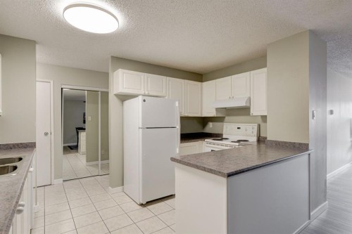 106-659 4 Avenue Ne, Calgary, AB - Indoor Photo Showing Kitchen With Double Sink