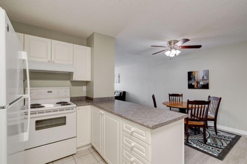 106-659 4 Avenue Ne, Calgary, AB - Indoor Photo Showing Kitchen
