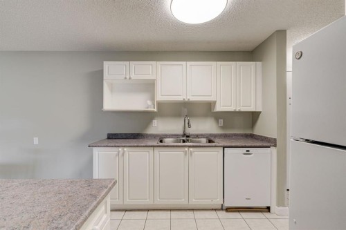 106-659 4 Avenue Ne, Calgary, AB - Indoor Photo Showing Kitchen With Double Sink