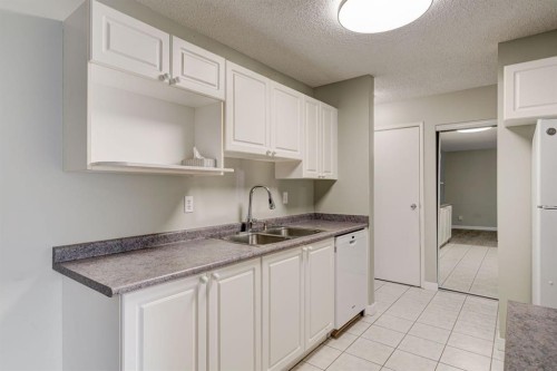 106-659 4 Avenue Ne, Calgary, AB - Indoor Photo Showing Kitchen With Double Sink