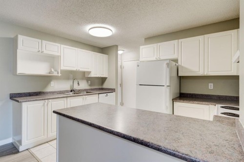 106-659 4 Avenue Ne, Calgary, AB - Indoor Photo Showing Kitchen